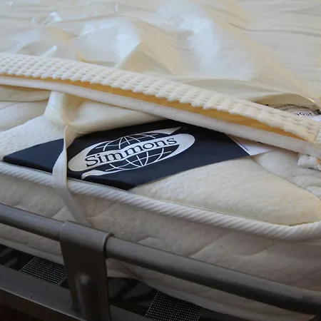 Διαμέρισμα Le Rex Νίκαια